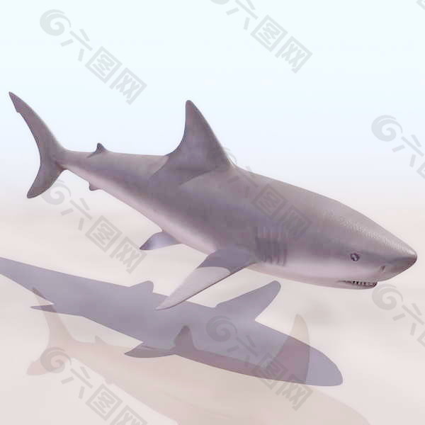 动物鱼类3d模型动植物模型免费下载3d模型免费下载 44