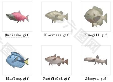 动物鱼类3d模型动植物模型免费下载动植物3d模型 34