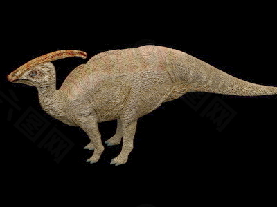 动物恐龙爬行类3d模型素材免费下载恐龙模型素材 10