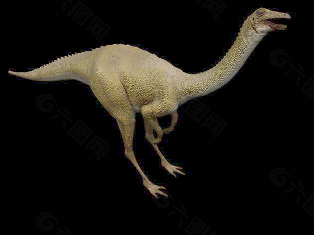 动物恐龙爬行类3d模型素材免费下载动物模型 22