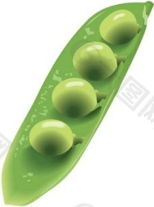 绿豌豆4