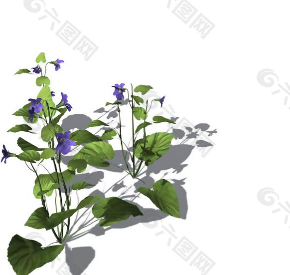 小型花卉植物3D模型免费下载，带材质-20