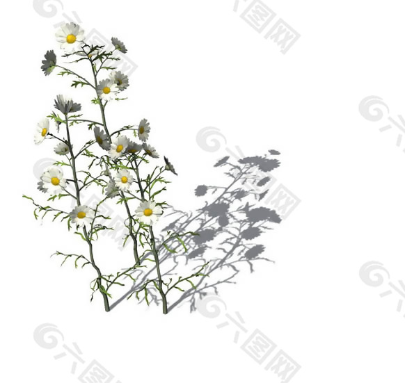 小型花卉植物3D模型免费下载，带材质-11
