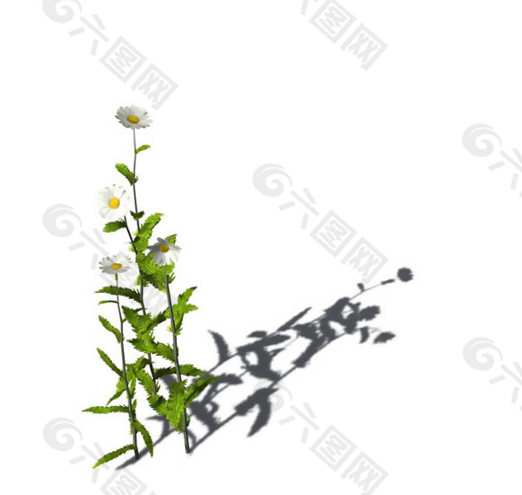 小型花卉植物3D模型免费下载，带材质-7