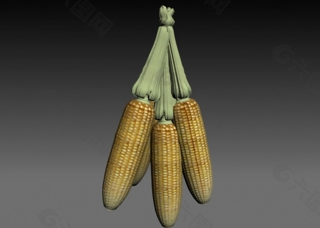 玉米3dmax模型
