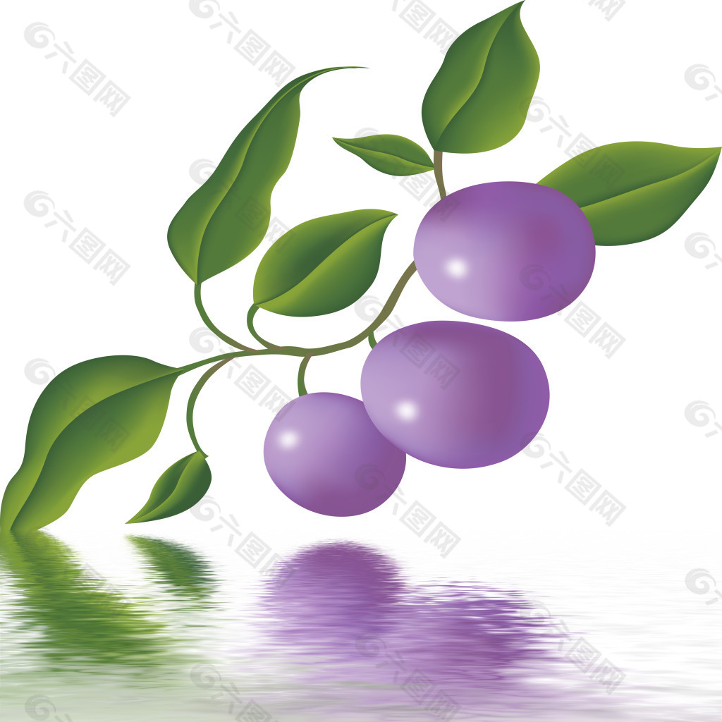 紫葡萄水中倒影