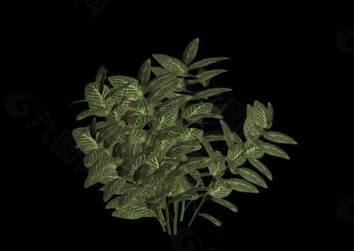 植物3D模型素材（20080503更新）55