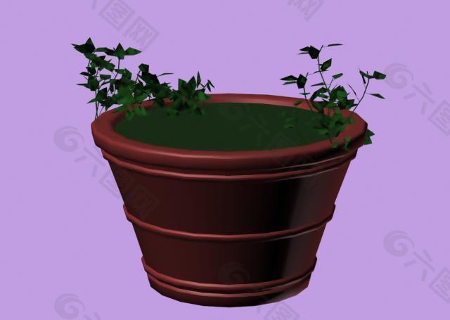 植物3D模型素材（20080502更新）28