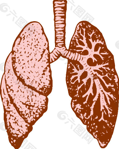 肺的剪辑艺术