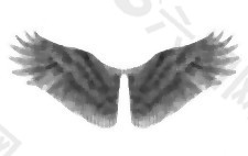 手绘的翅膀
