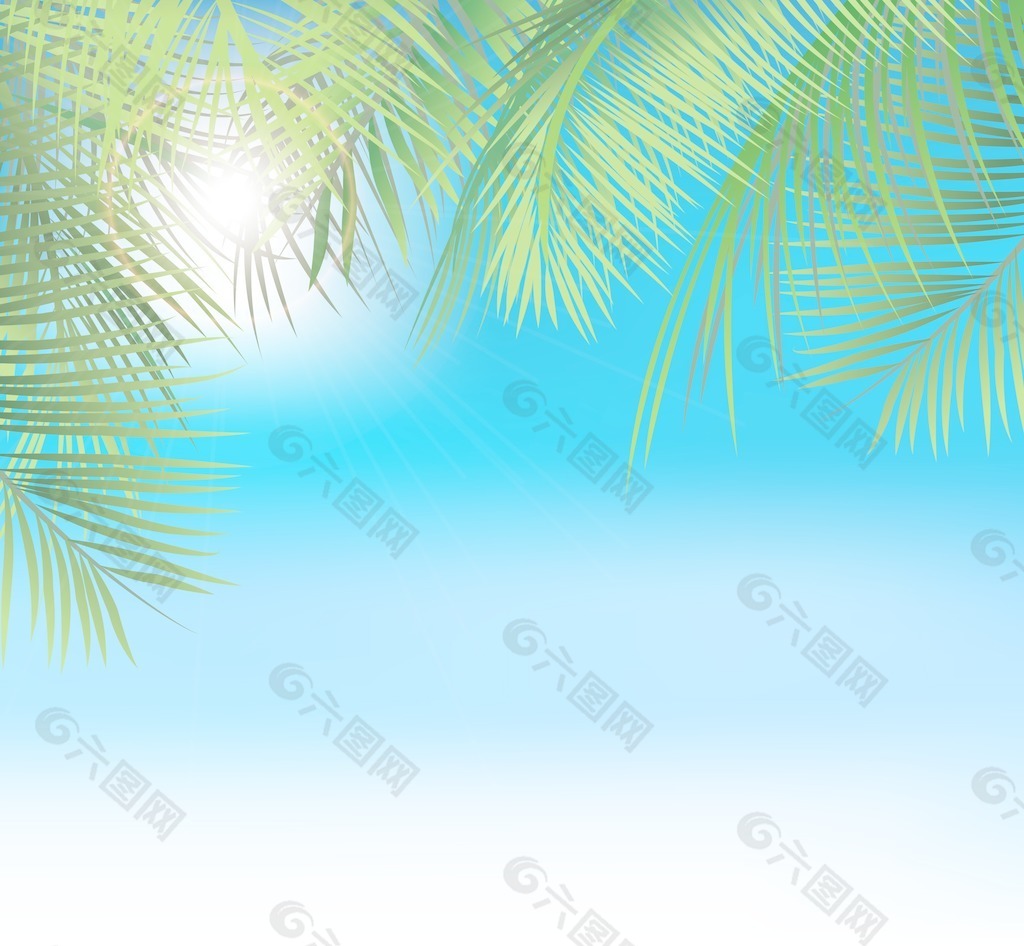 棕榈叶夏季背景矢量