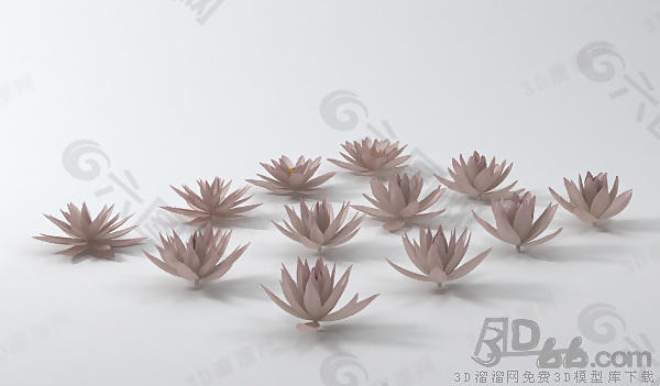 3D莲花模型