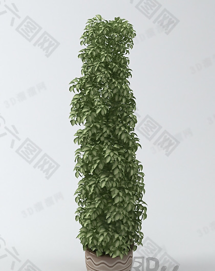 3D植物盆景模型