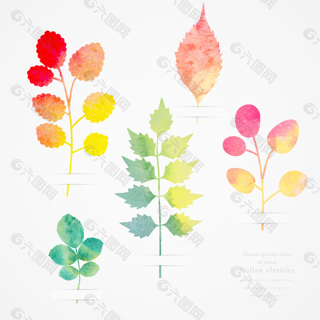 矢量标本馆旧货模板采叶水彩画水彩手绘秋天无缝模式与叶秋的主题