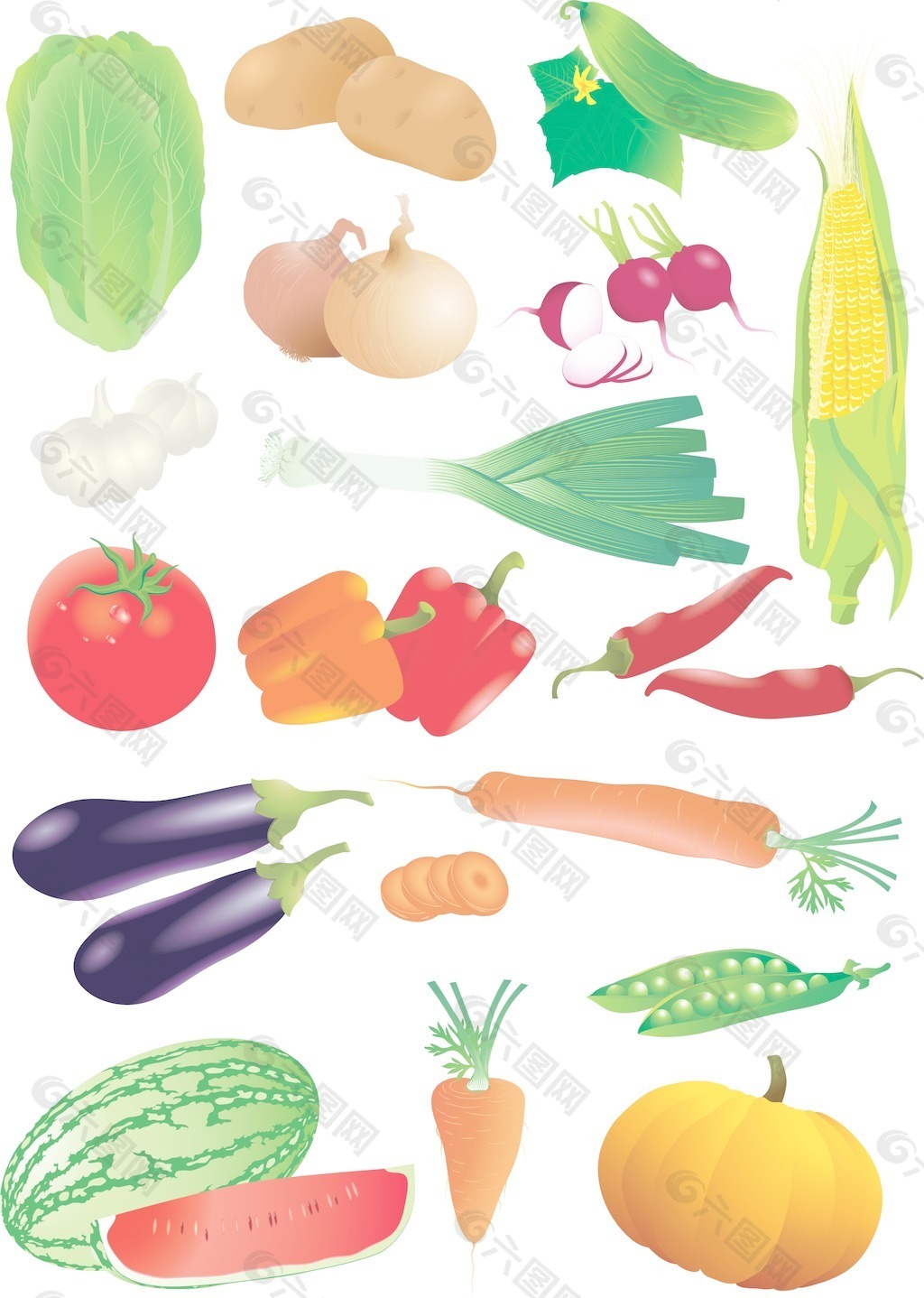 生蔬菜的详细的和现实的向量集