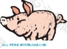 猪28