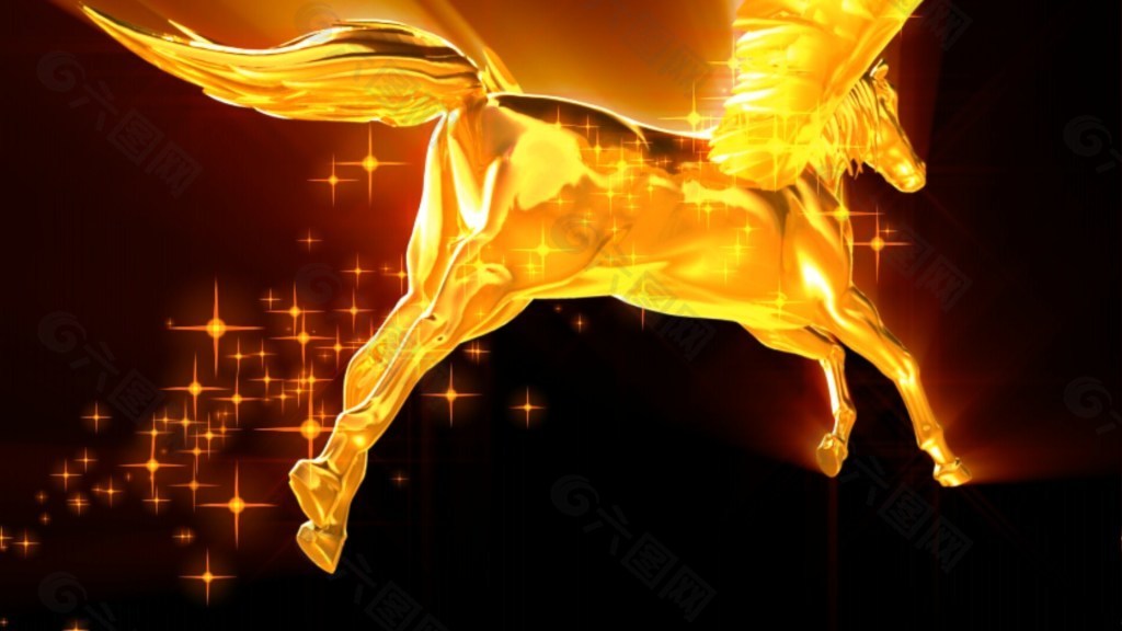 飞翔的金马视频素材