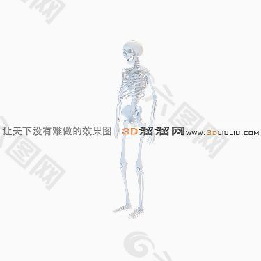 3D人体骨架模型