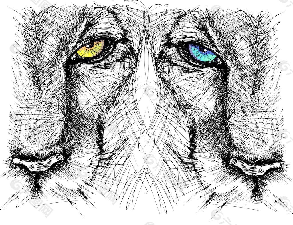 手绘草图的狮子看看相机