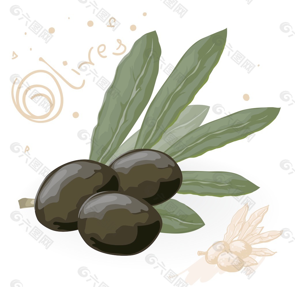 三黑橄榄向量的橄榄枝