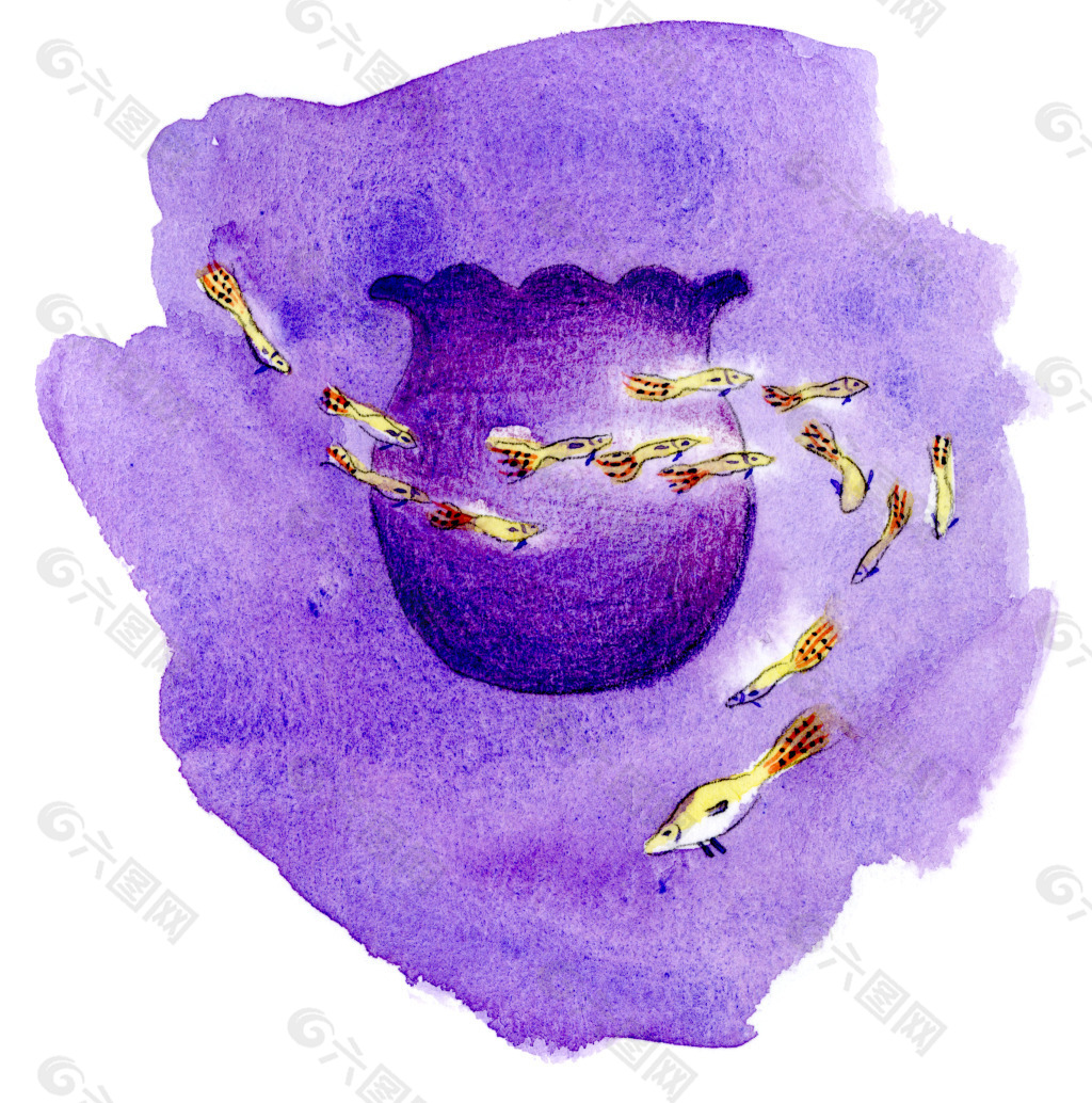 紫色 鱼儿绕