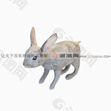 3D兔模型
