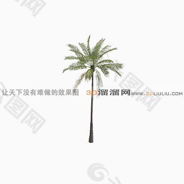 3D椰子树模型