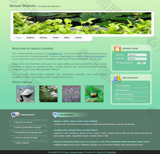国外动植物创意网站模板