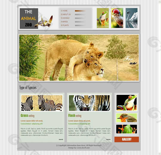 国外动物园创意网站模板