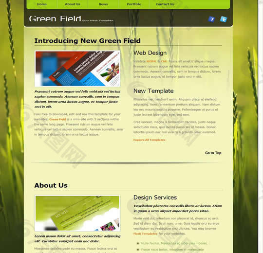 国外绿色创意网站模板