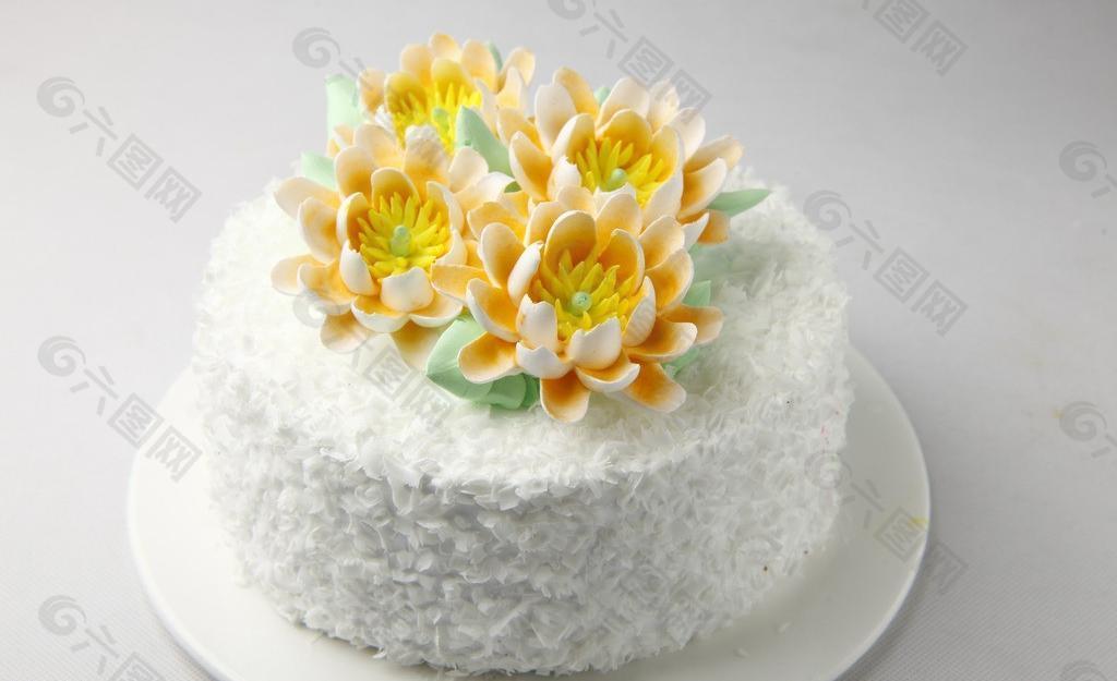 生日蛋糕 鱼尾菊