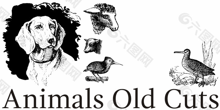 动物的老削减字体