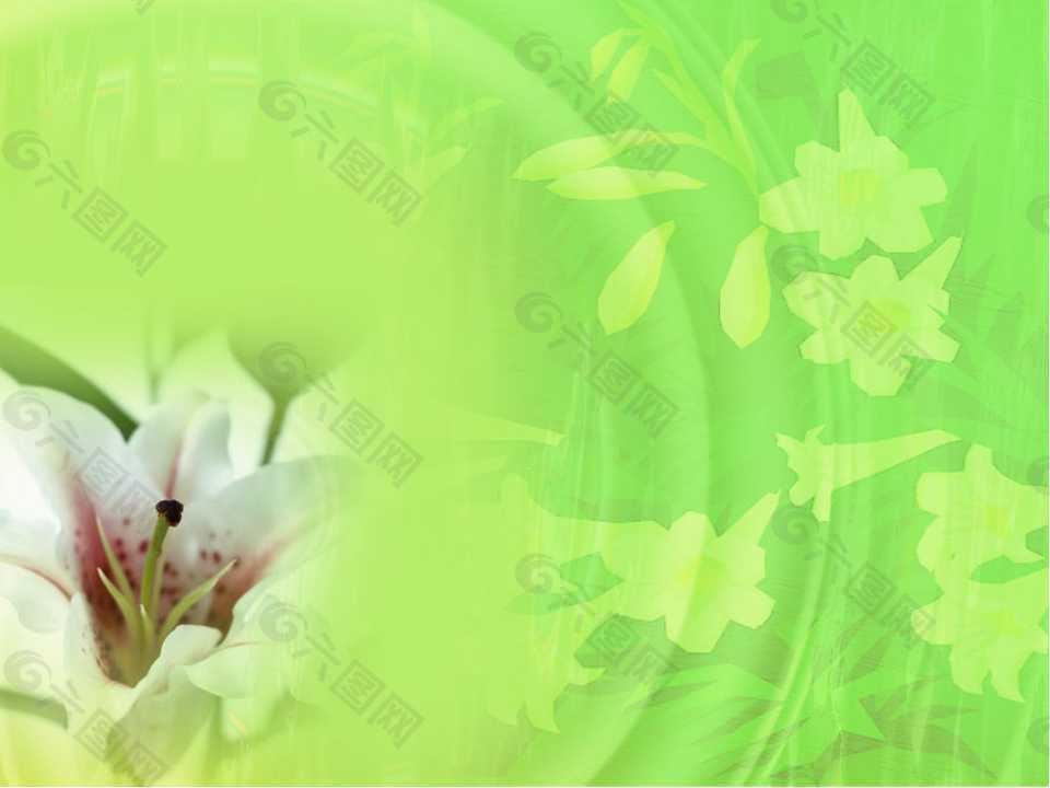 绿色的百合花背景PPT模板