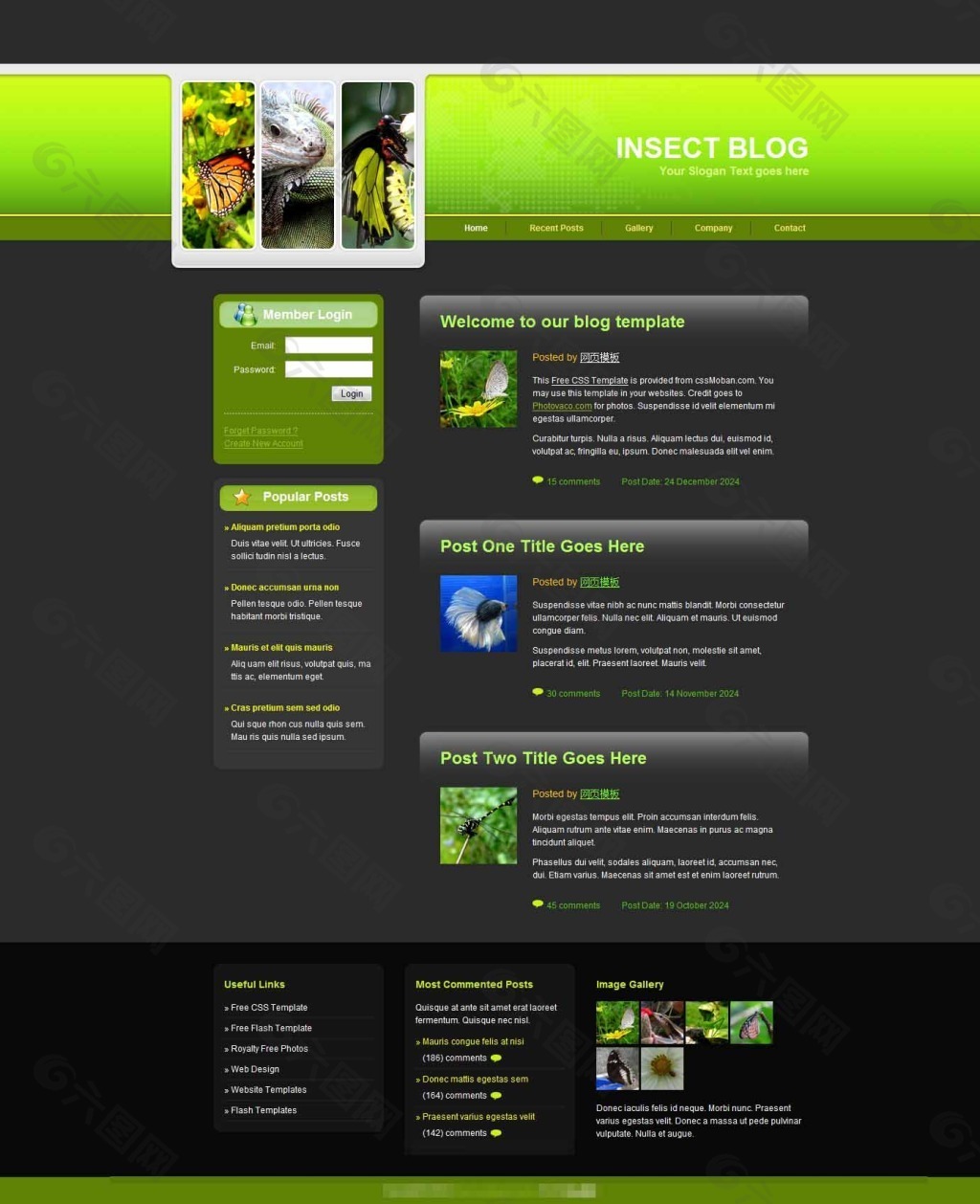 黑色大自然网站模板
