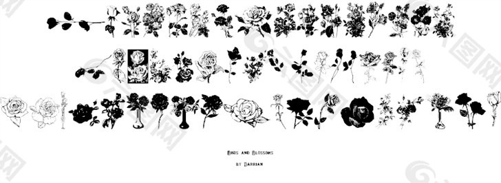花蕾和花朵的字体