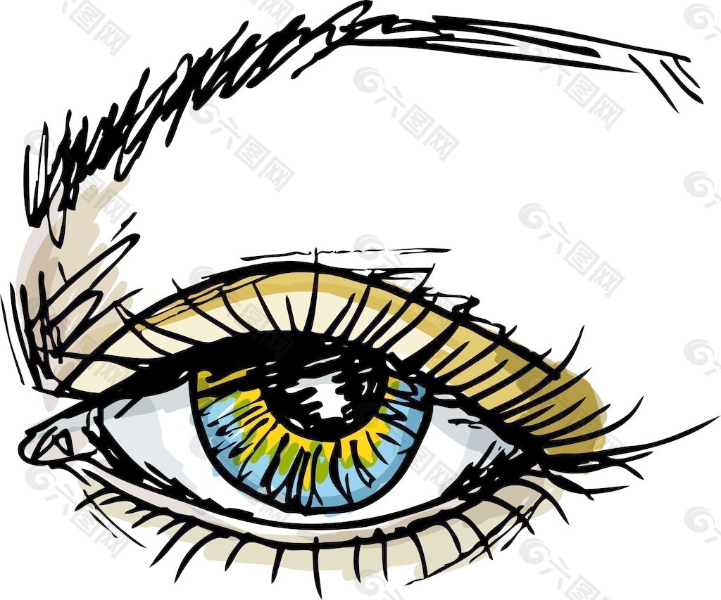 女性的蓝眼睛矢量插画