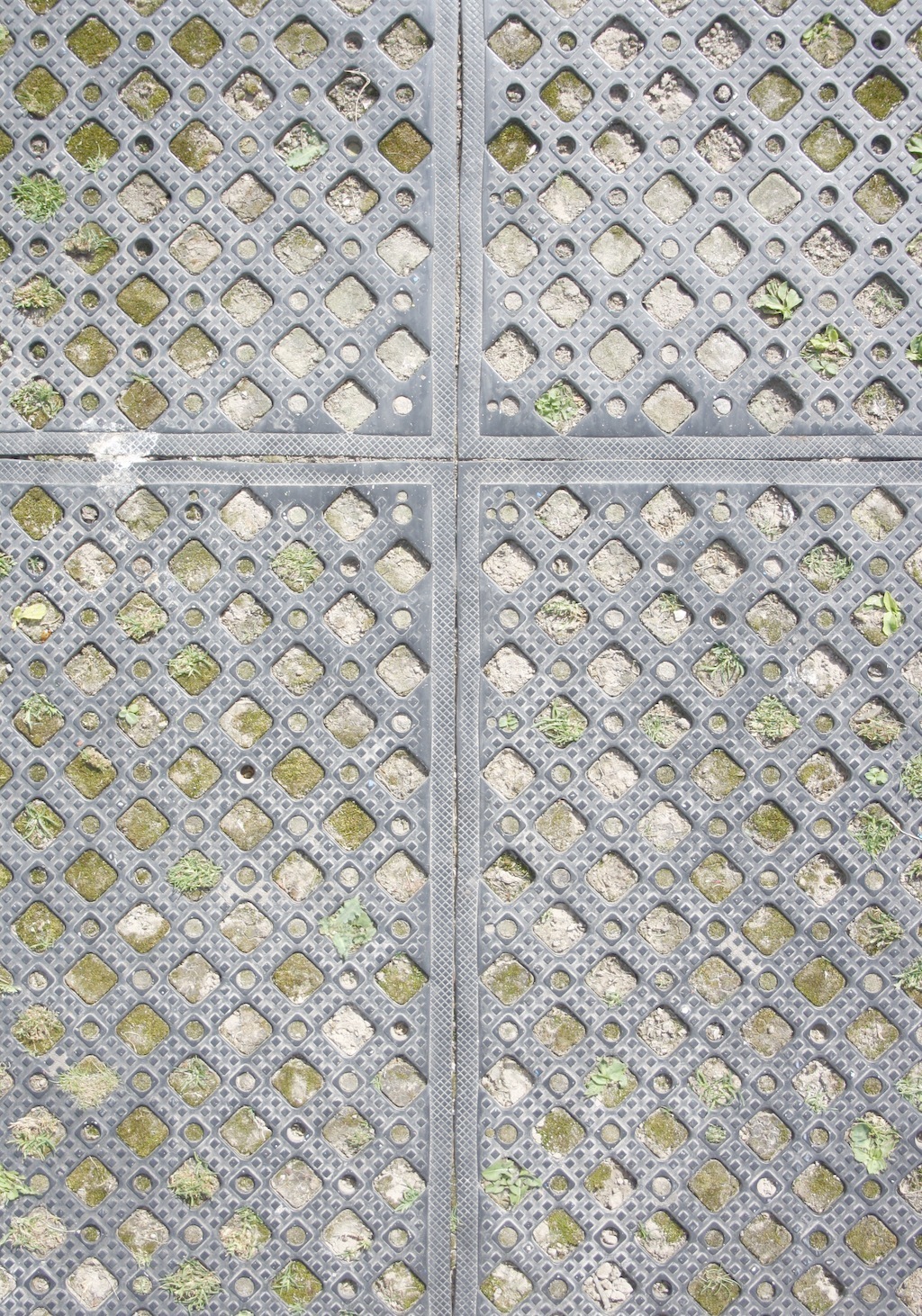 的金属栅栏和篱笆1个纹理