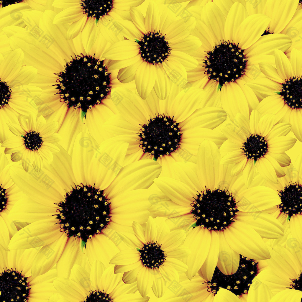 黄色菊花图案的无缝纹理