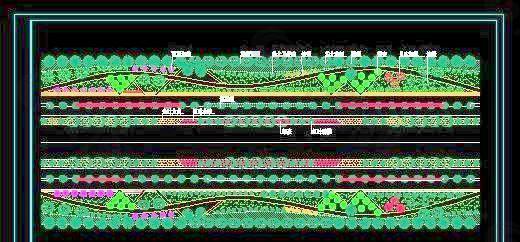 道路标准段绿化图