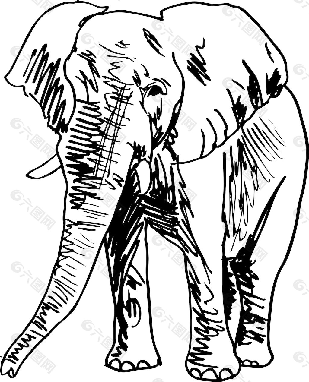 大象插画矢量图