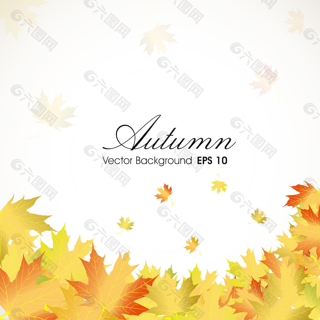 秋天的落叶背景与文本空间