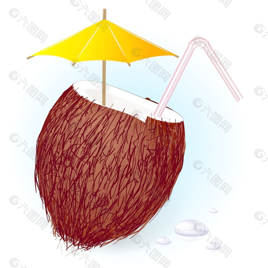 新鲜椰子冷饮向量