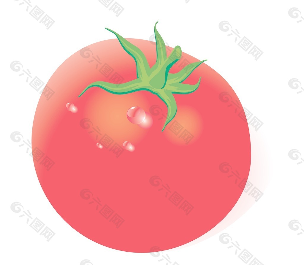新鲜的西红柿矢量无梯度网格使用容易编辑