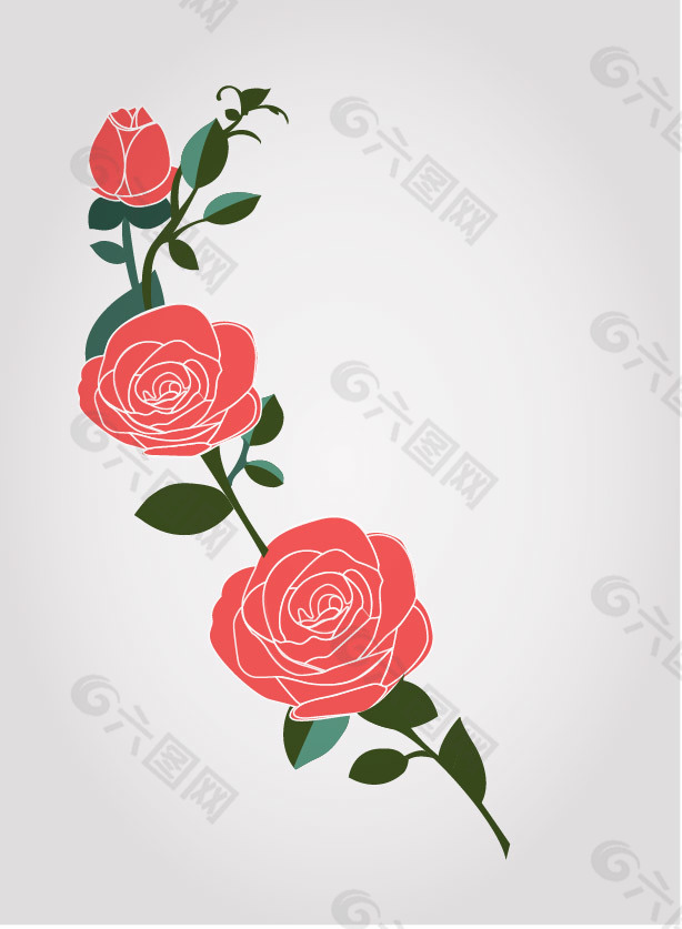 精美的玫瑰花