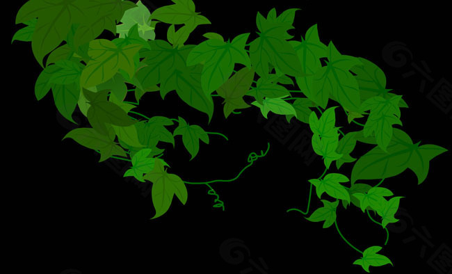 绿色桑叶flash矢量动画