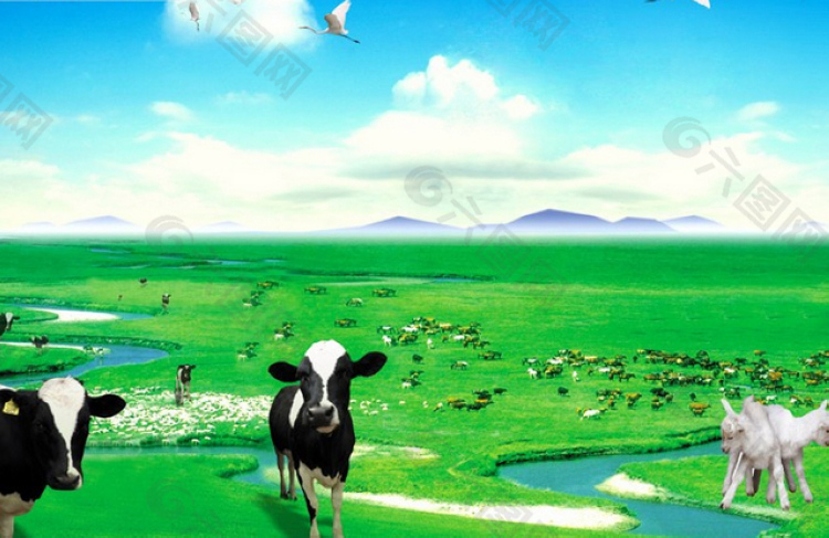 草原牛羊背景模板