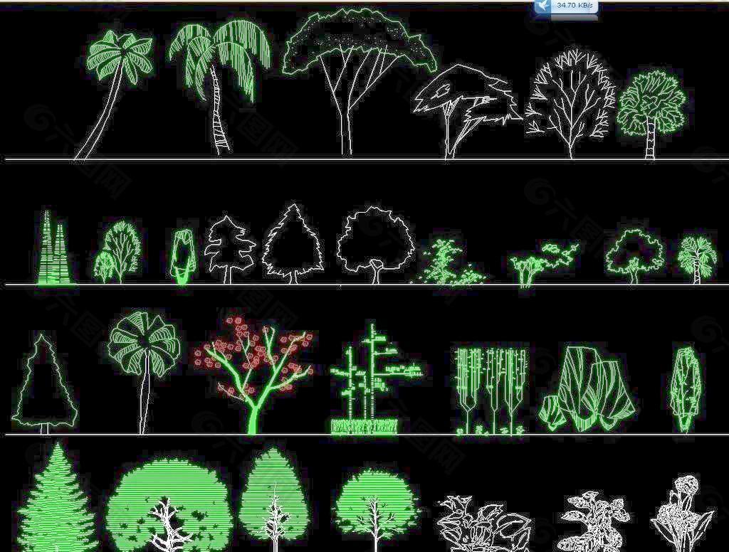 园林立面植物图例