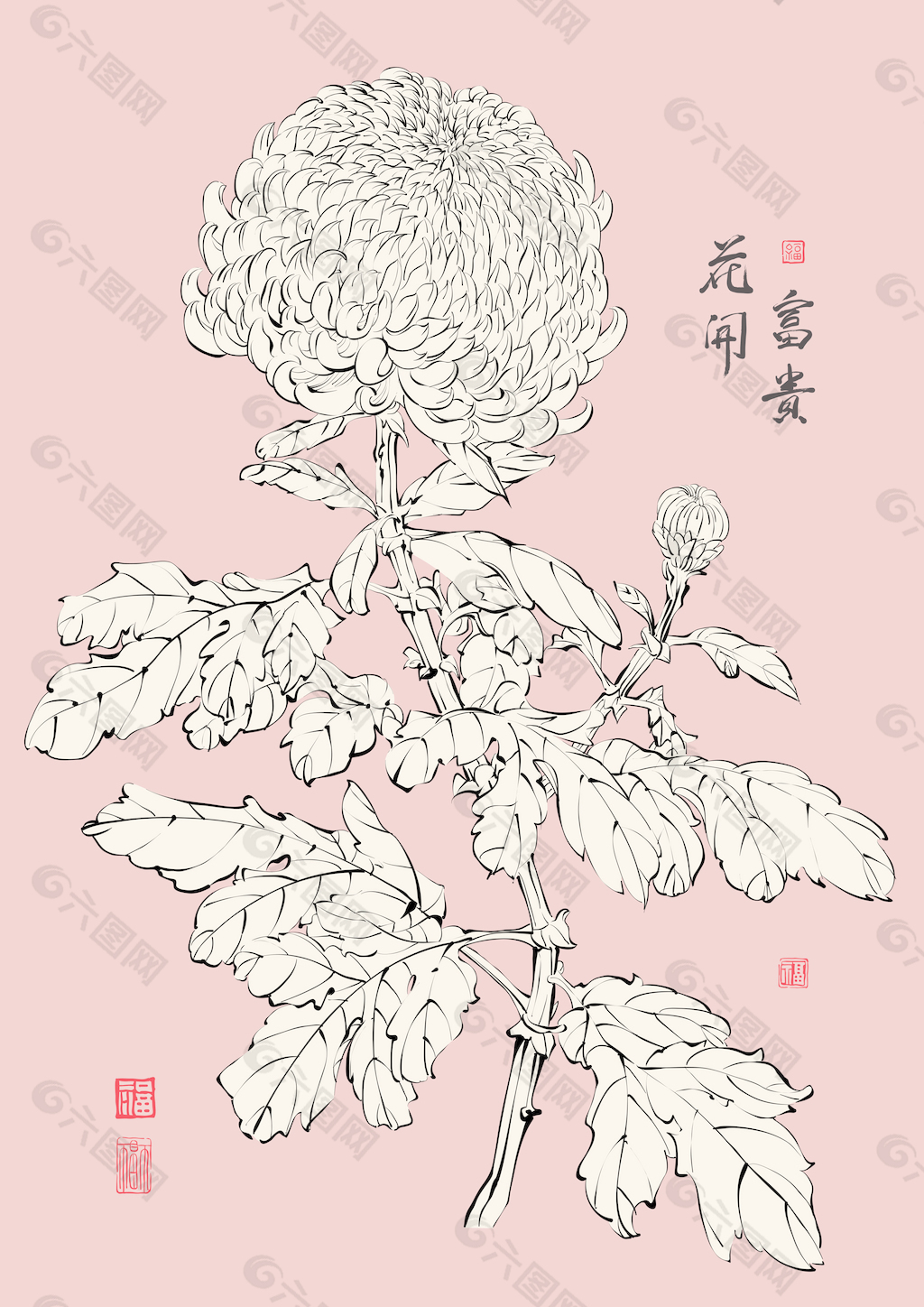 翻译：菊花矢量中国繁荣的花