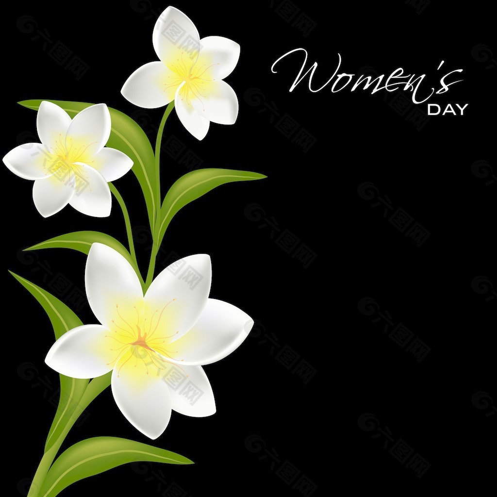 三八妇女节贺卡或海报设计与美丽的花朵在黑色的背景设计