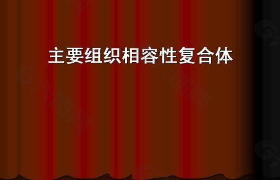 临床医学研究PPT模板